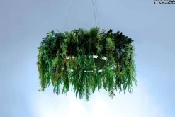 MOOSEE lampa wisząca GARDENS 70 czarna (MSE1501100436) - Moosee