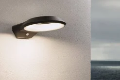 Oprawa elewacyjna ANELA LED PIR 12.5W 700lm 3000K IP44 230V antracyt aluminium (PL94836) - PAULMANN