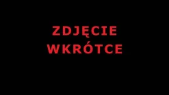 Oprawa elewacyjna SKYLA LED SH Zigbee10W 840lm 2200K-3000K czujnik ruchu i zmierzchu IP44 230V antracyt / aluminium (PL94864) - PAULMANN