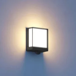 Oprawa LED Steinel L 40 LED SC (ST085247) - STEINEL