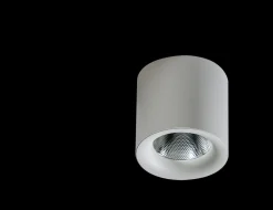 Oprawa natynkowa MANE 20W DIMM WH (AZ4327) - Azzardo