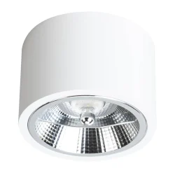 Oprawa natynkowa Redondo Biały 1xAR111 GU10 (ML1075) - Milagro