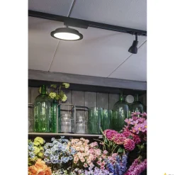 PANEL TRACK okrągły 150x300 mm, 1-fazowy spot czarny 18 W 3000 K (1004935) - SLV