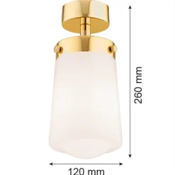 Plafon 1 pł. PASADENA (8005) - Argon