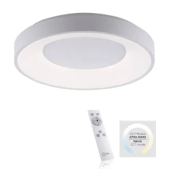 Plafon ANIKA biały (14326-16) - Paul Neuhaus