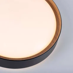 Plafon ściamnialny EMILIA (14347-18) - Paul Neuhaus