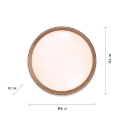 Plafon ściamnialny EMILIA (14347-18) - Paul Neuhaus