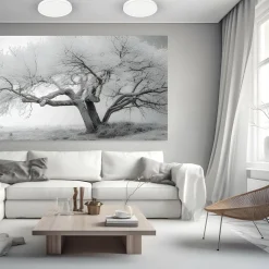 Plafon z regulowaną barwą światła MAQ 24W 3CCT Biały (ML1661) - Milagro