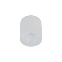 POINT TONE (8222) - Nowodvorski