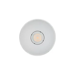 POINT TONE (8222) - Nowodvorski