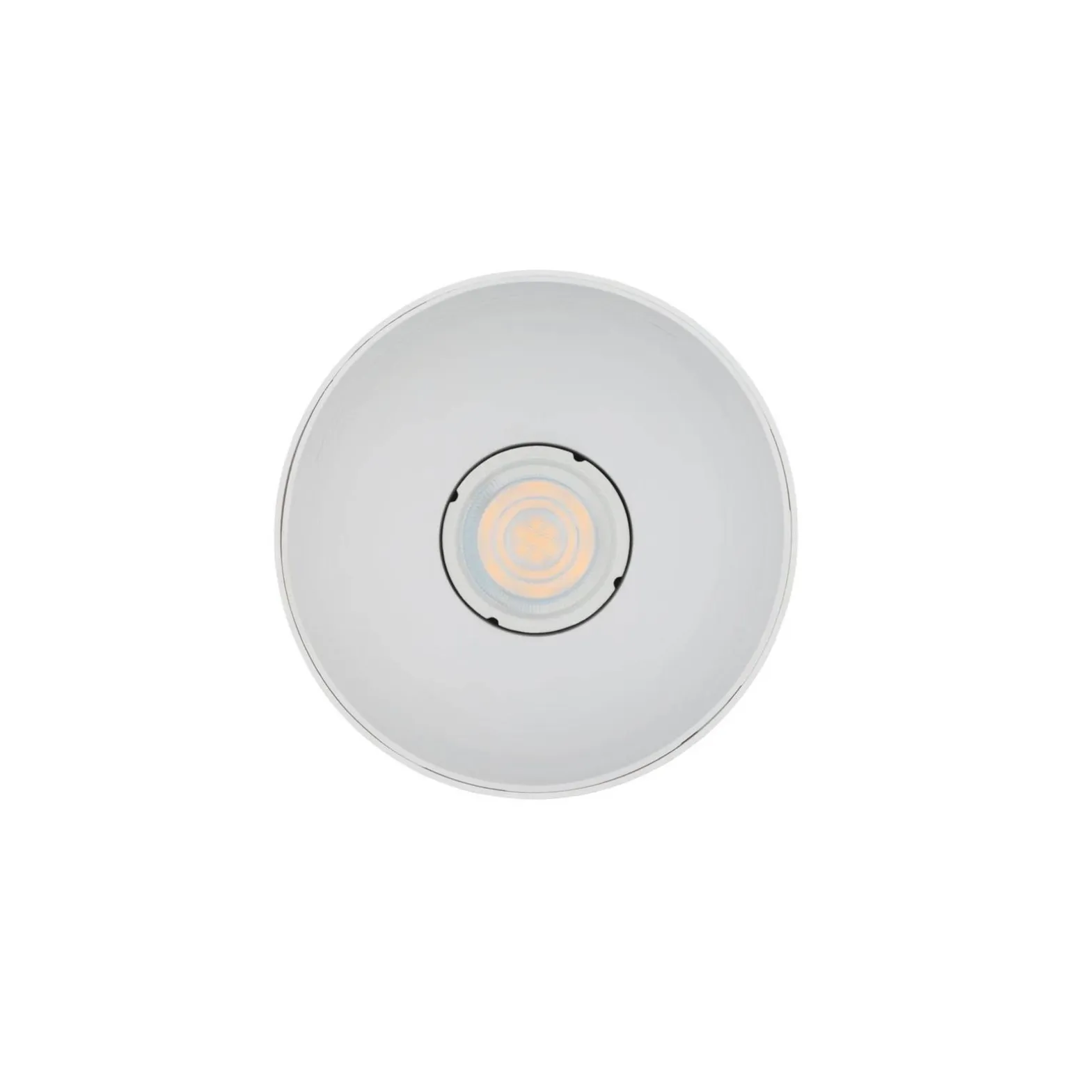 POINT TONE (8222) - Nowodvorski