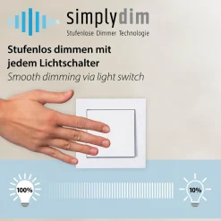 POSH KINKIET/LAMPA SUFITOWA SZARA (15696-15) - Paul Neuhaus