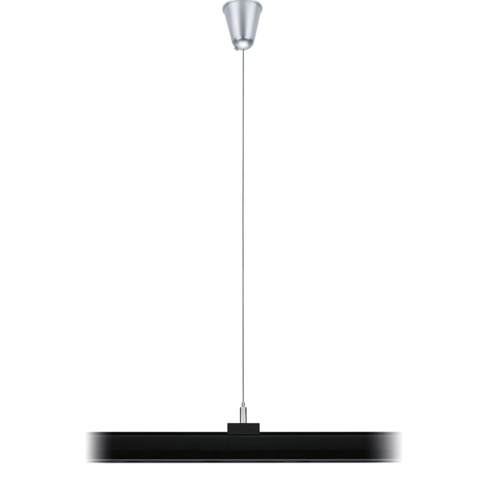 ProRail3 Steel Wire Suspension 3m Black 0 (PL95585) - PAULMANN