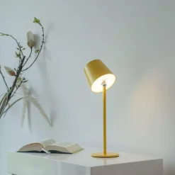 Przenośna, ładowana lampa stołowa BOTERIA ŻÓŁTY (19251-81) - Paul Neuhaus