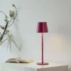 Przenośna, ładowana lampa stołowa BOTERIA RÓŻOWY (19251-87) - Paul Neuhaus