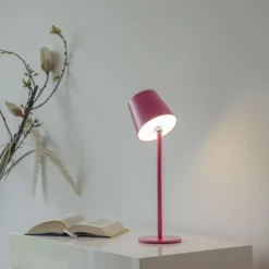 Przenośna, ładowana lampa stołowa BOTERIA RÓŻOWY (19251-87) - Paul Neuhaus