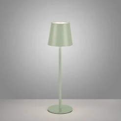 Przenośna LAMPA STOŁOWA USB EURIA ZIELONA (19250-43) - Paul Neuhaus