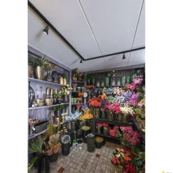 PURIA, spot do szyny wysokonapięciowej 1-fazowej, QPAR51, czarny mat, czarny plastik satynowany, maks. 50 W, z adapterem 1-fazowym (143450) - SLV