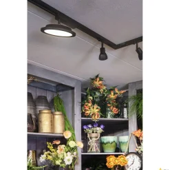 PURIA, spot do szyny wysokonapięciowej 1-fazowej, QPAR51, czarny mat, czarny plastik satynowany, maks. 50 W, z adapterem 1-fazowym (143450) - SLV