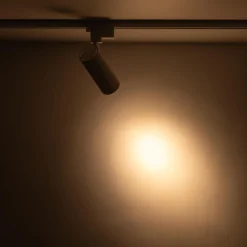 Reflektor na szynoprzewód z przełącznikiem CCT TRACER WHITE CCT 10W (18179) - TK Lighting