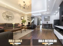 Reflektor Szynowy 1-fazowy LED Longer 12W biały CRI90+ NW (Abigali-RS1BPL12NW)