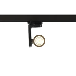 Reflektor Timor 10W 2700/4000K Czarny 3 Obwodowy (ML1115) - Milagro