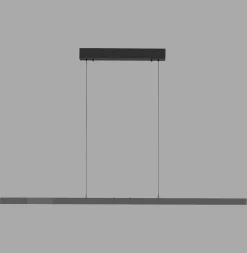 Rozsuwana i regulowana lampa wisząca ADRIANA COMFORT LIFT ANTRACYT (2598-13) - Paul Neuhaus