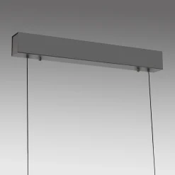 Rozsuwana i regulowana lampa wisząca ADRIANA COMFORT LIFT ANTRACYT (2598-13) - Paul Neuhaus