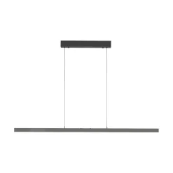 Rozsuwana i regulowana lampa wisząca ADRIANA COMFORT LIFT ANTRACYT (2598-13) - Paul Neuhaus