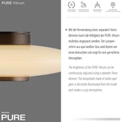 Szklany, ściemnialny kinkiet PURE VITRUM Brązowy (6082-34) - Paul Neuhaus