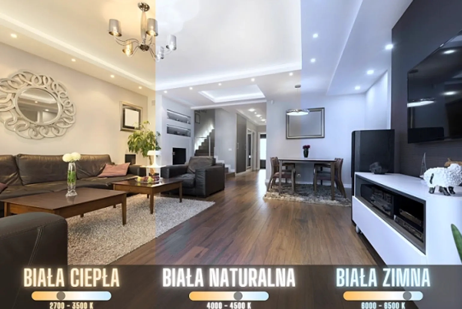 taśma LED Pro Line 25M 12W/mb barwa naturalna (BLAUPUNKT-TL12NW-P)