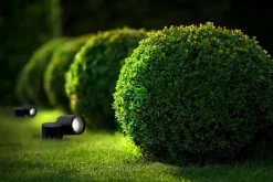 TUBINGS M (8161) - Nowodvorski