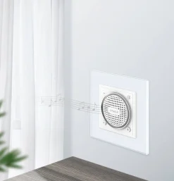 WBS-61 Moduł biały głośnika bluetooth Livolo