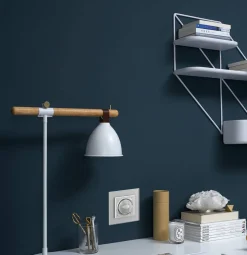 WBS-63 Moduł złoty głośnika bluetooth Livolo