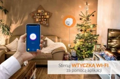 Wtyczka WiFi 16A AZzardo Smart (AZ3478) - Azzardo
