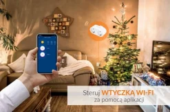 Wtyczka WiFi 16A AZzardo Smart (AZ3476) - Azzardo