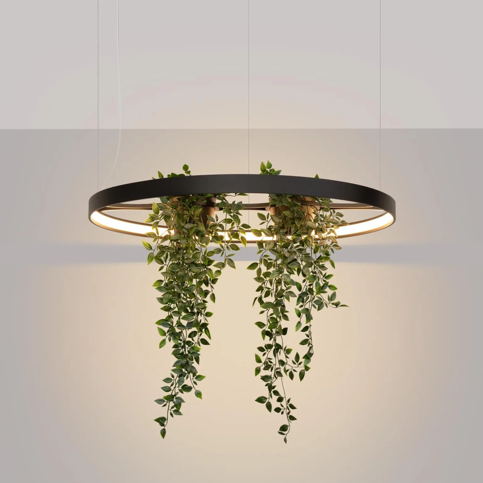 Żyrandol RIO BIO 78 czarny LED 3000K (TH.551) - Thoro Lighting