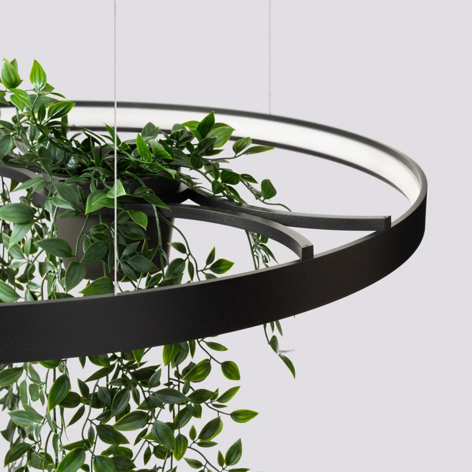 Żyrandol RIO BIO 78 czarny LED 3000K (TH.551) - Thoro Lighting